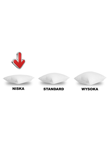 Down pillow 40x70 low